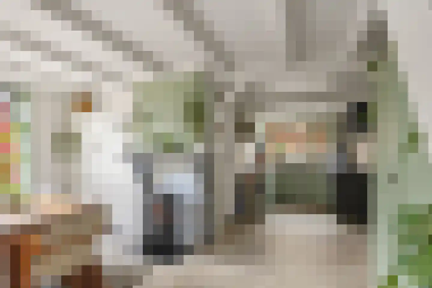 Buren 29 Dedgum thumbnail 10