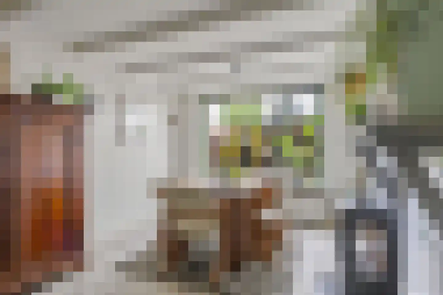 Buren 29 Dedgum thumbnail 12