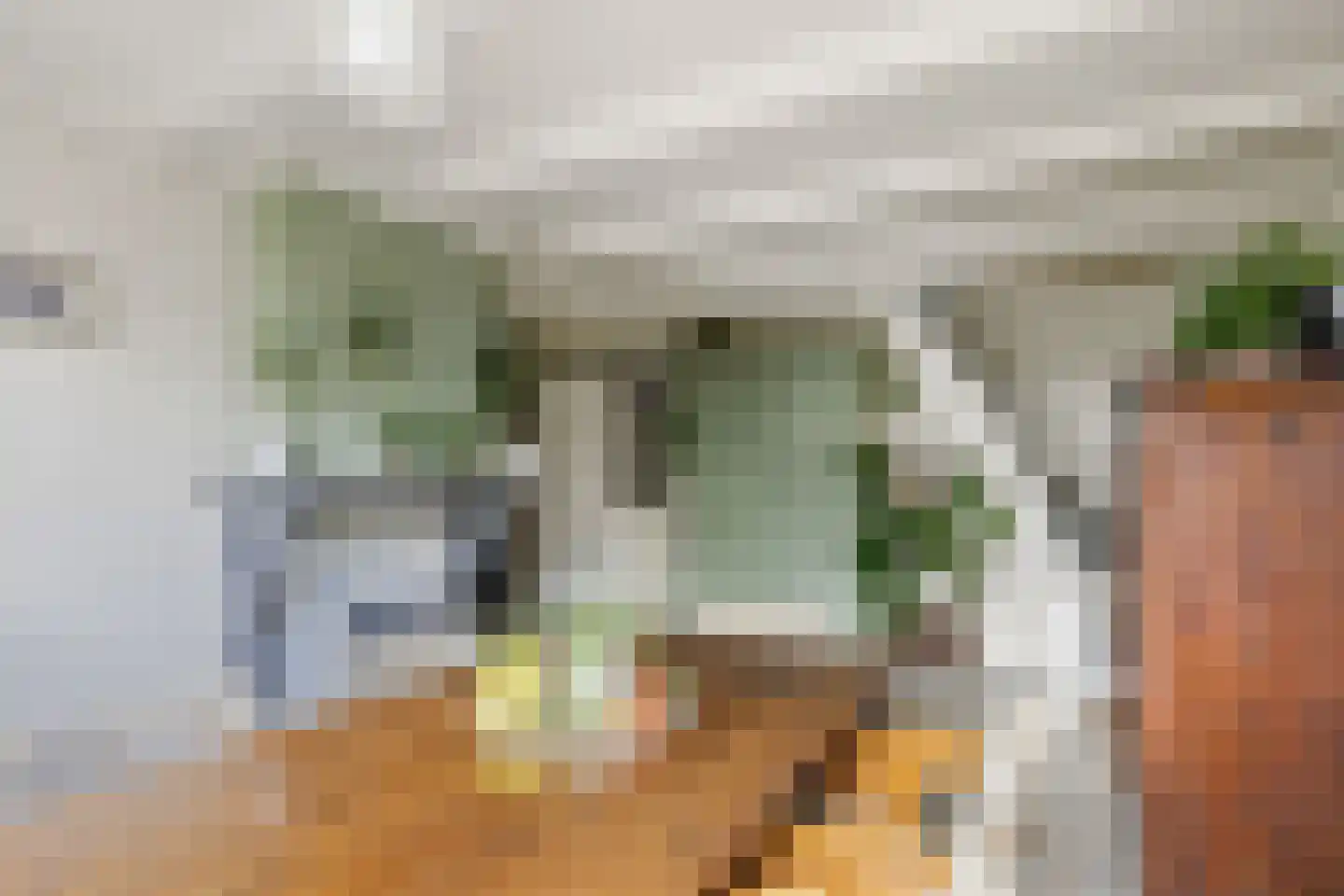 Buren 29 Dedgum thumbnail 13