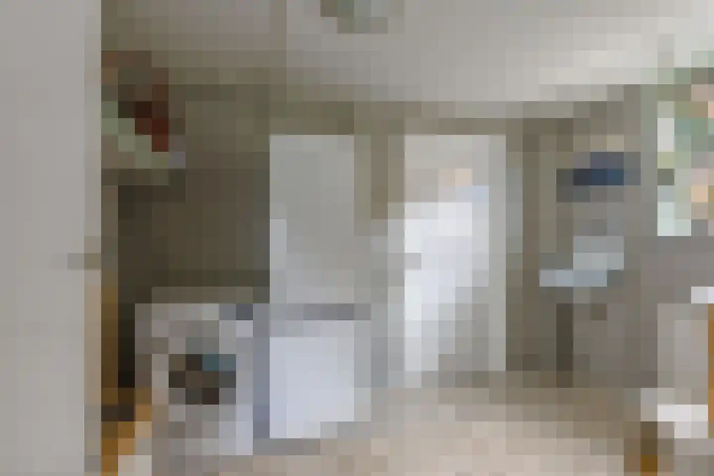 Buren 29 Dedgum thumbnail 16