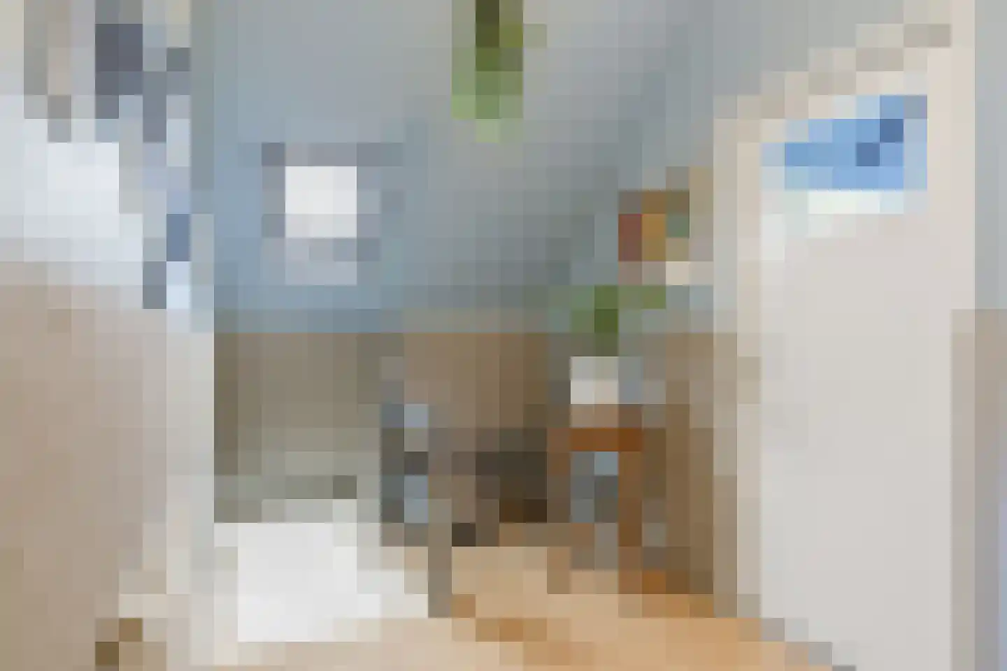 Buren 29 Dedgum thumbnail 19