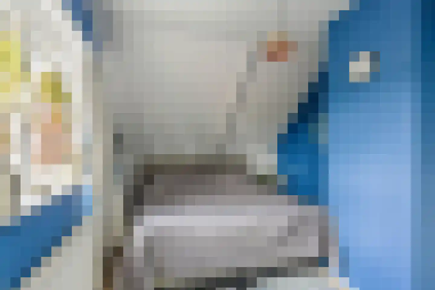 Buren 29 Dedgum thumbnail 20