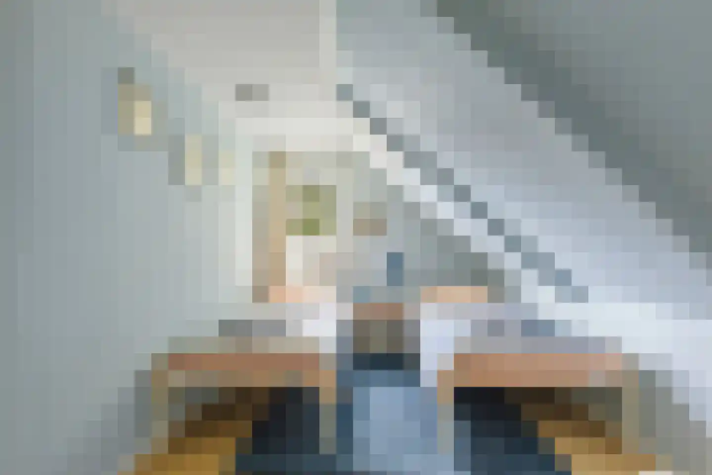 Buren 29 Dedgum thumbnail 22