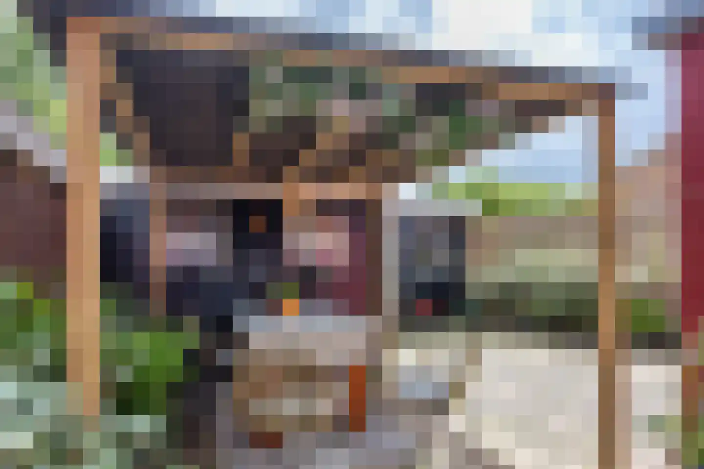 Buren 29 Dedgum thumbnail 30