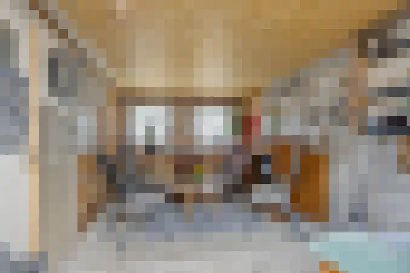 Buren 29 Dedgum thumbnail 33
