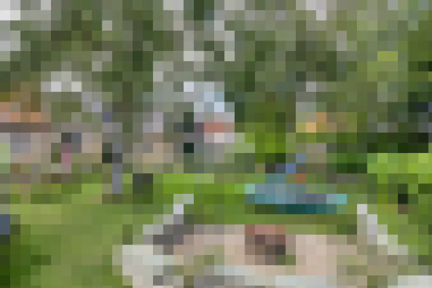 Buren 29 Dedgum thumbnail 37
