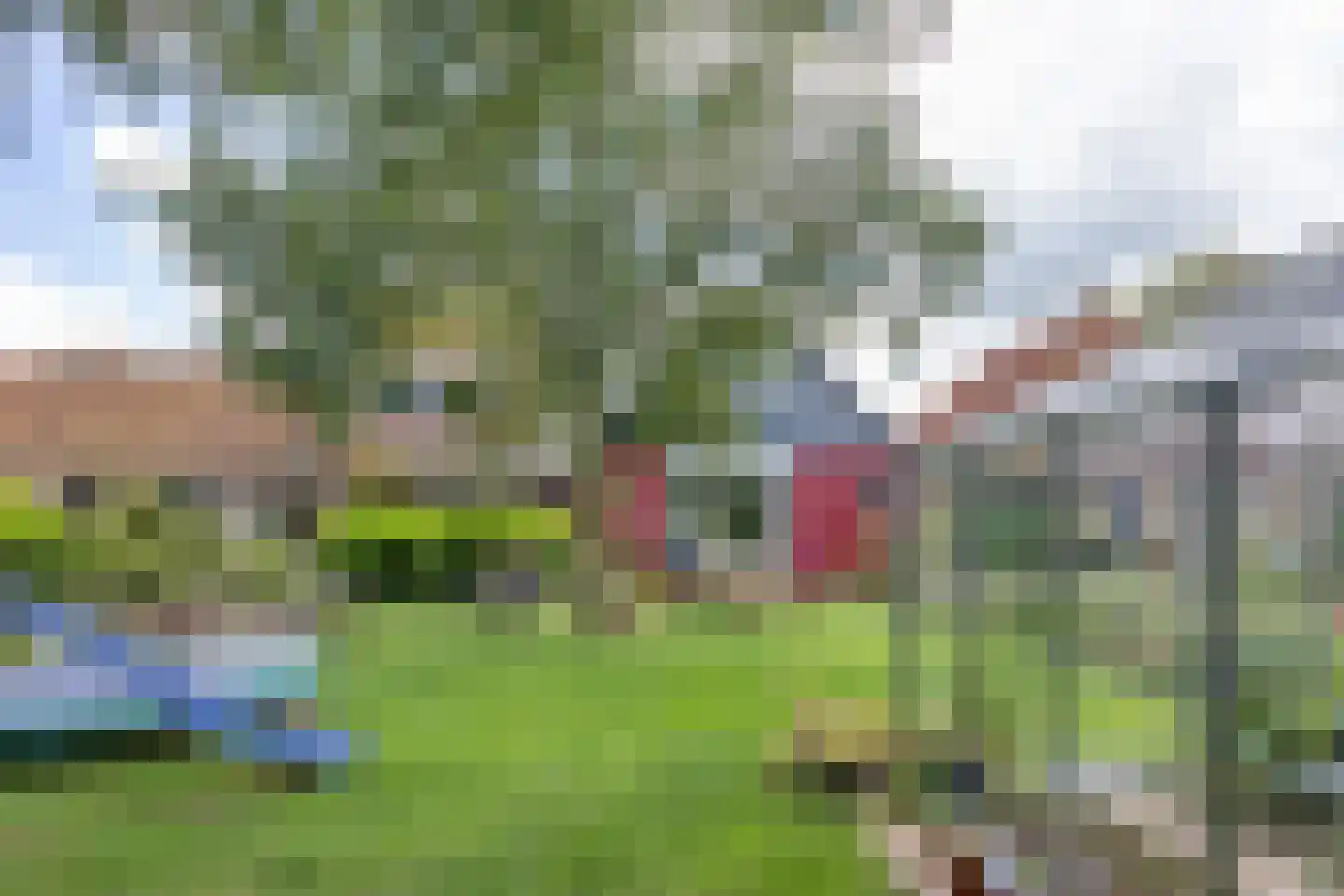 Buren 29 Dedgum thumbnail 39