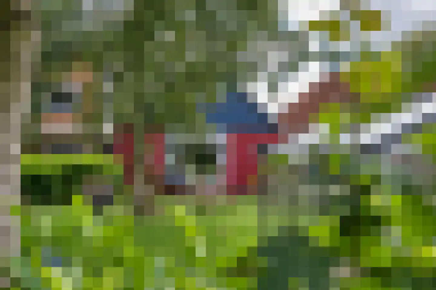 Buren 29 Dedgum thumbnail 40