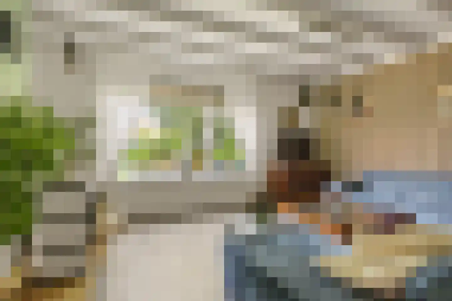 Buren 29 Dedgum thumbnail 7