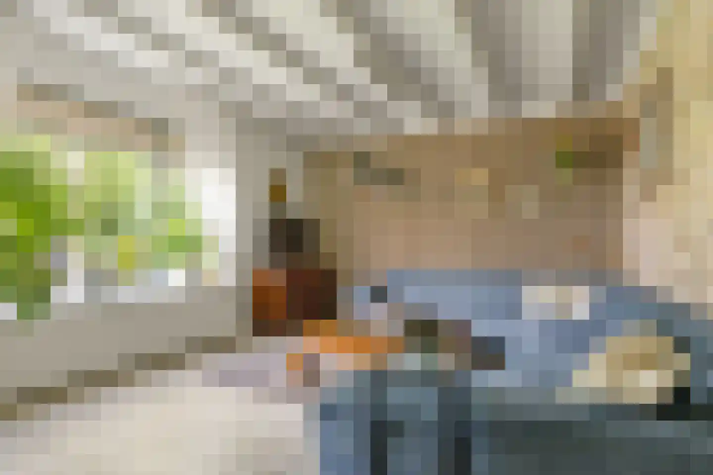 Buren 29 Dedgum thumbnail 8