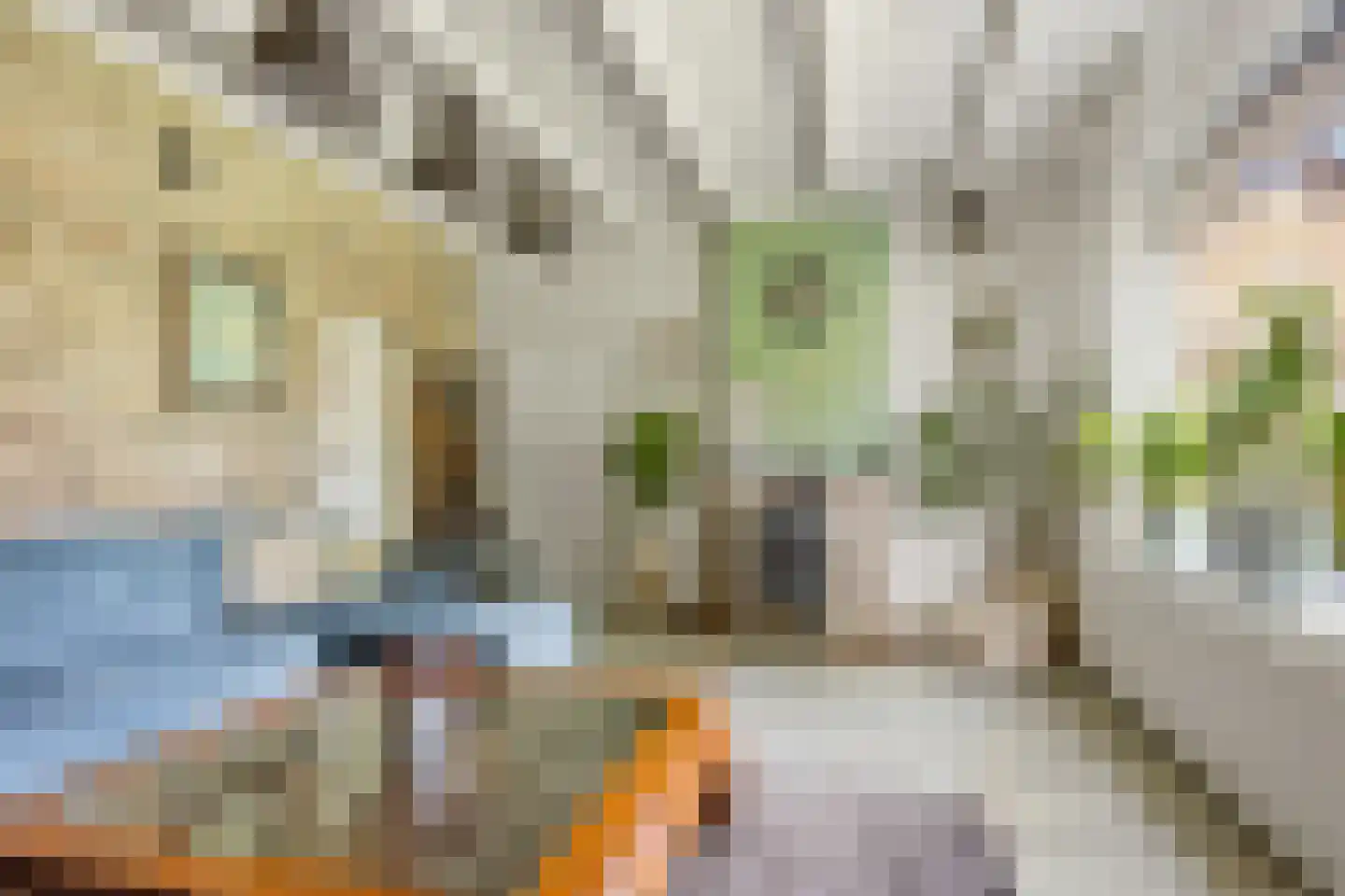 Buren 29 Dedgum thumbnail 9