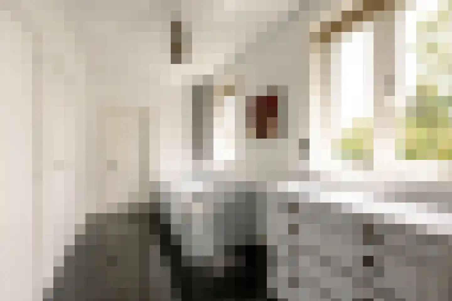 Buren 29 Gaast thumbnail 10