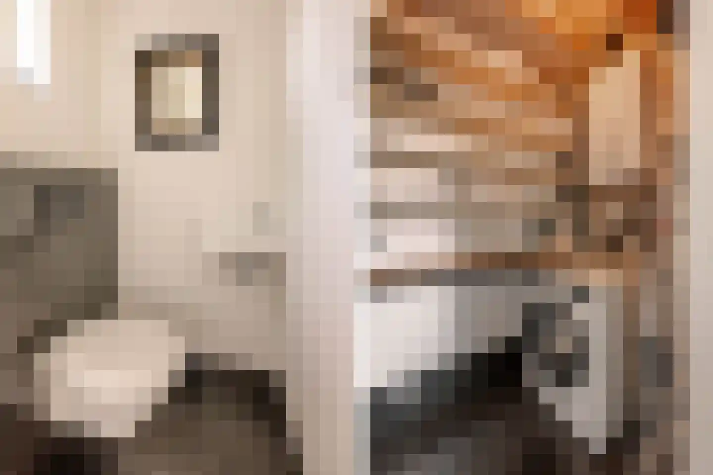 Buren 29 Gaast thumbnail 11