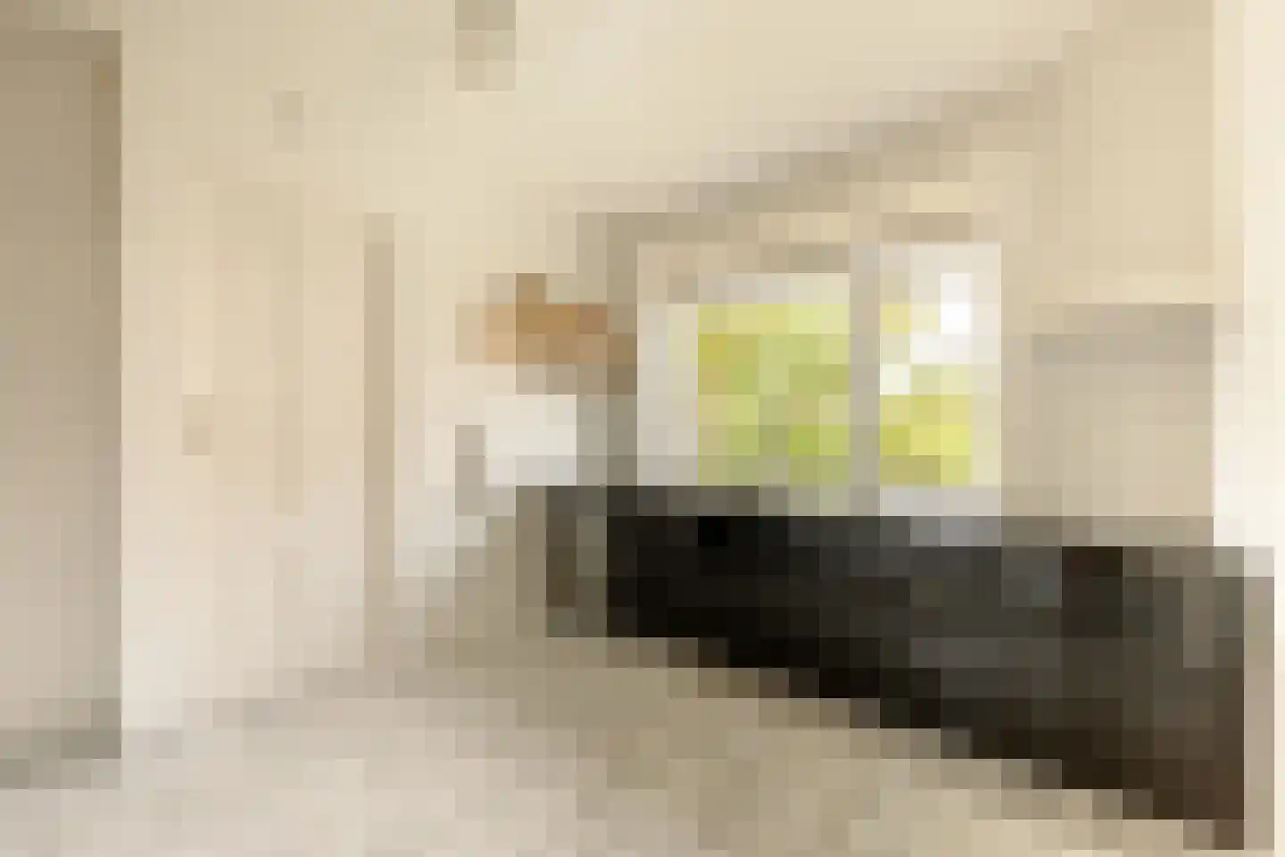 Buren 29 Gaast thumbnail 13