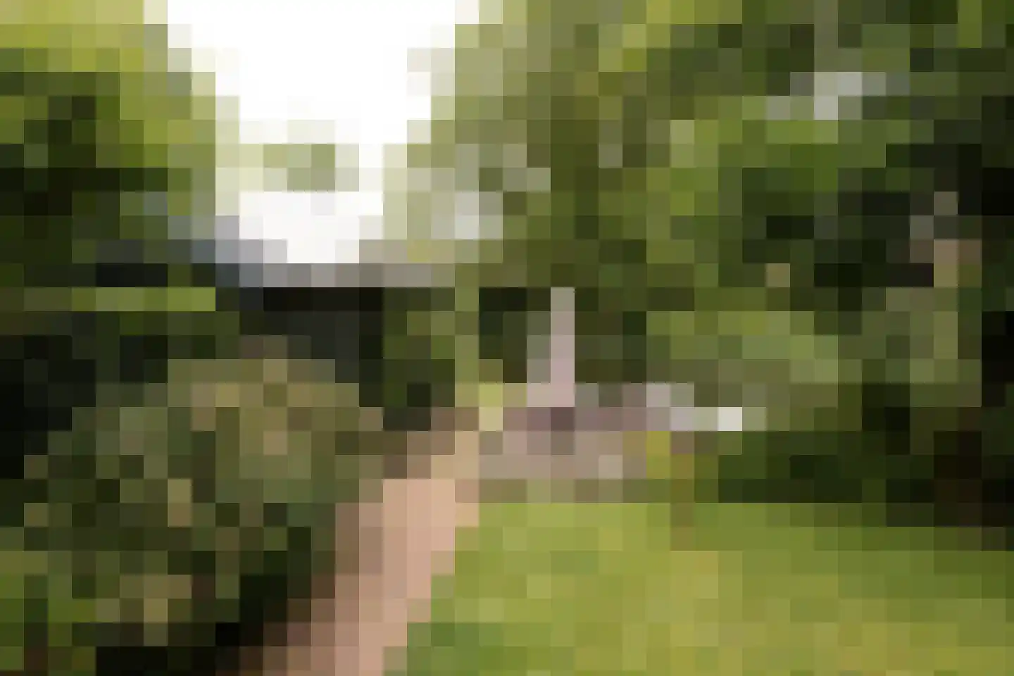 Buren 29 Gaast thumbnail 19