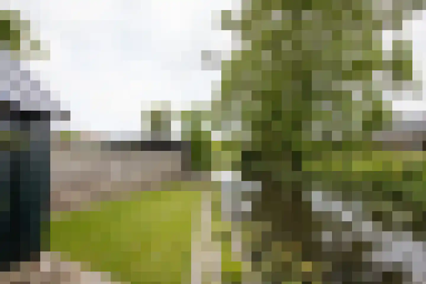 Buren 29 Gaast thumbnail 21