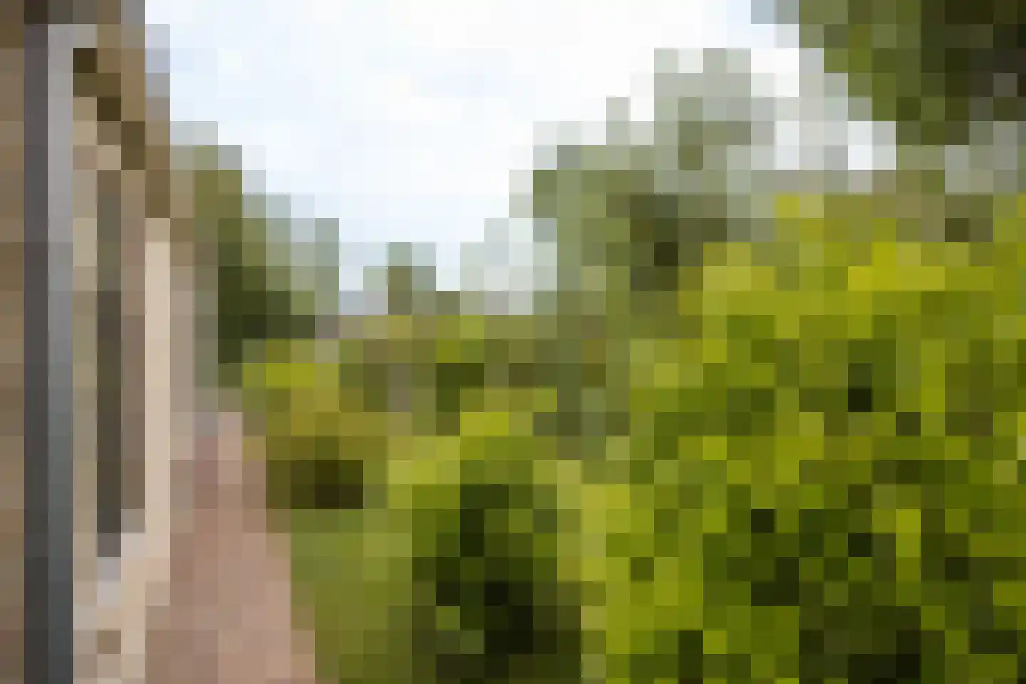 Buren 29 Gaast thumbnail 23