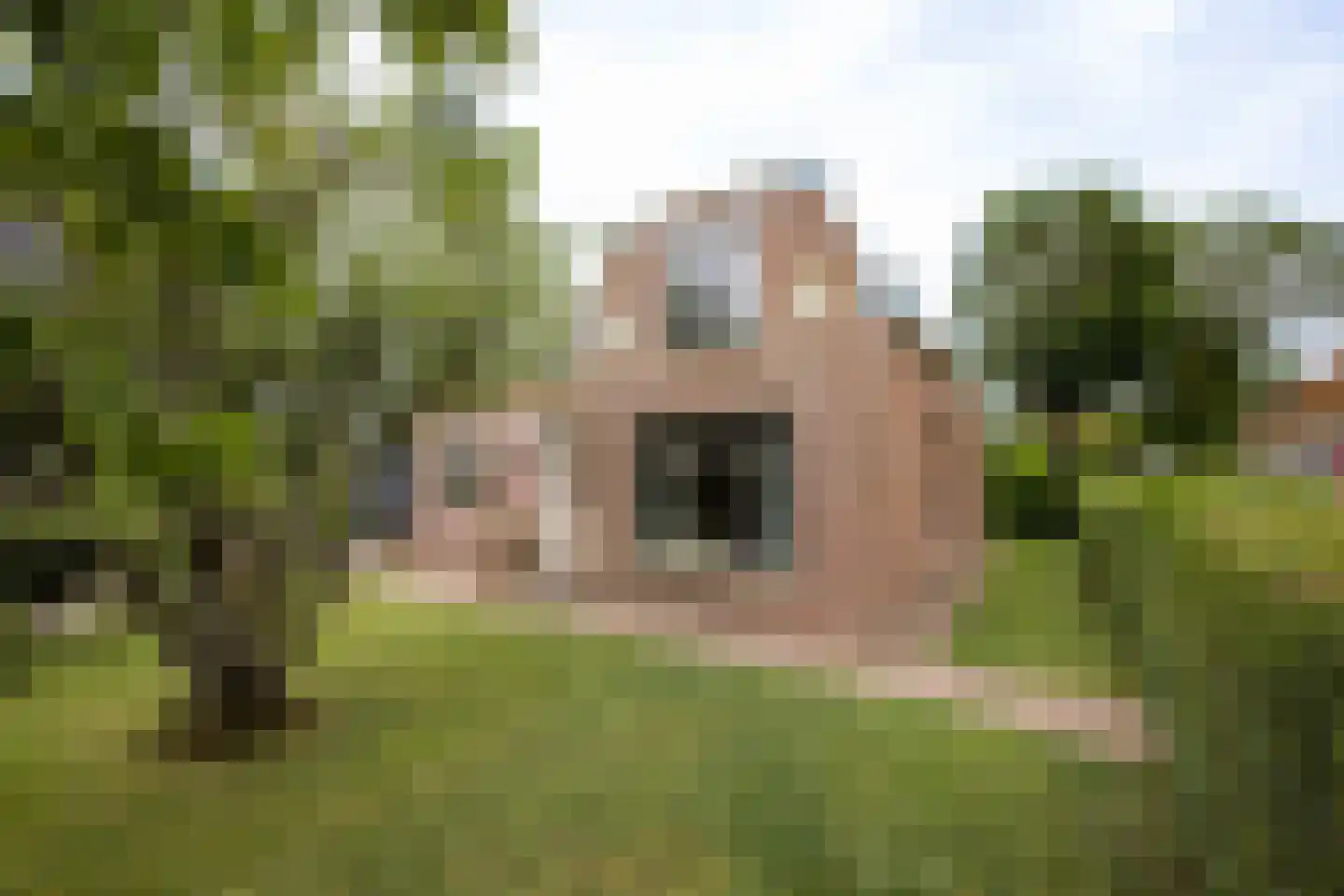 Buren 29 Gaast thumbnail 24