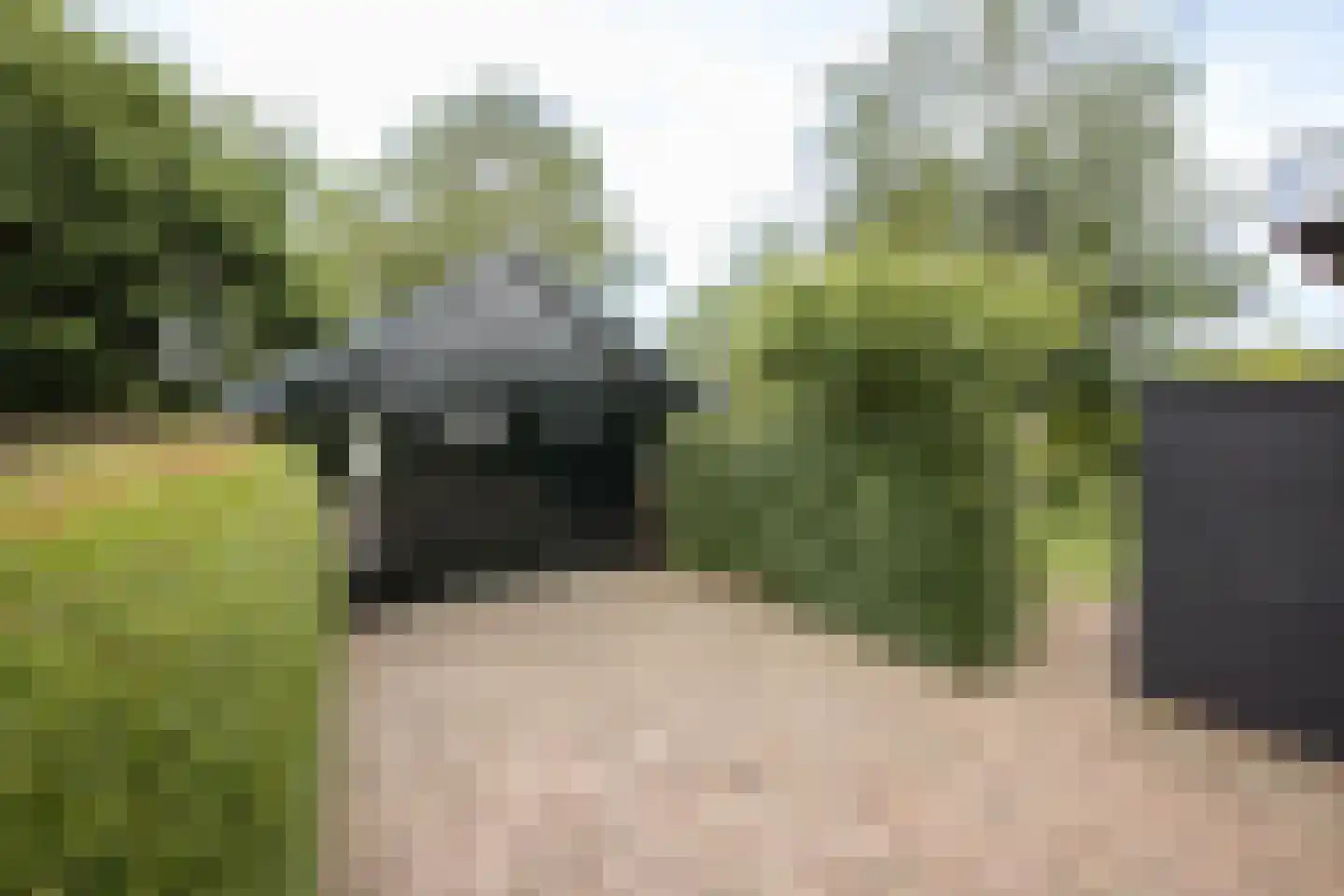 Buren 29 Gaast thumbnail 26