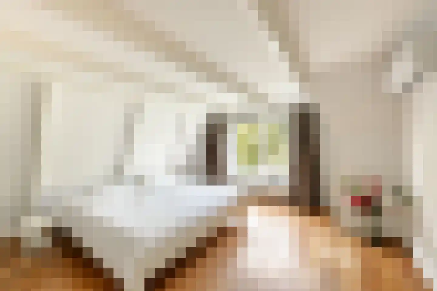 Buren 29 Gaast thumbnail 31