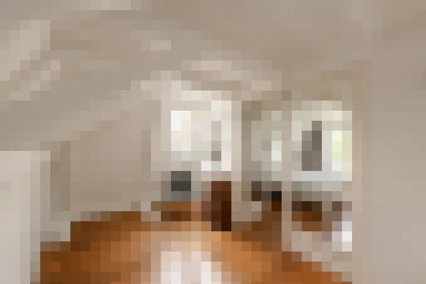 Buren 29 Gaast thumbnail 33