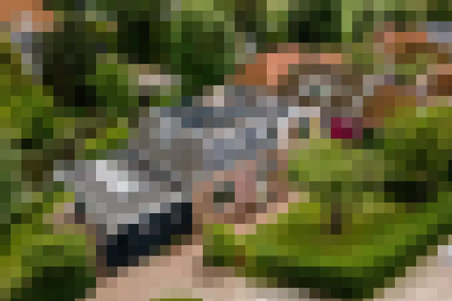 Buren 29 Gaast thumbnail 37