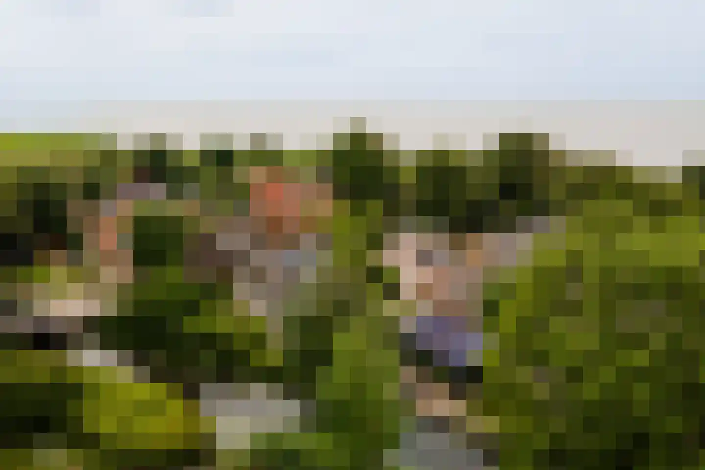 Buren 29 Gaast thumbnail 38