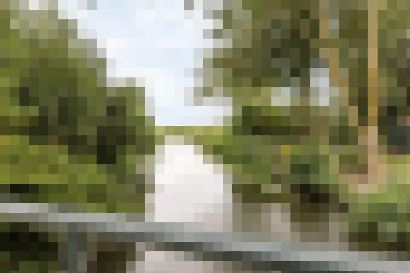 Buren 29 Gaast thumbnail 39