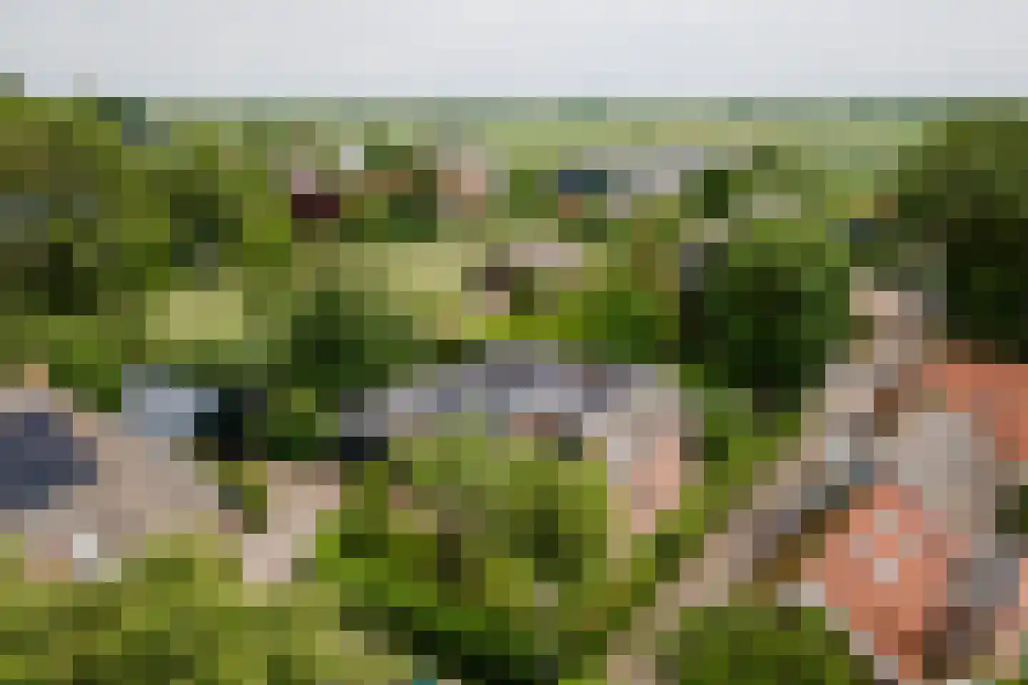 Buren 29 Gaast thumbnail 4