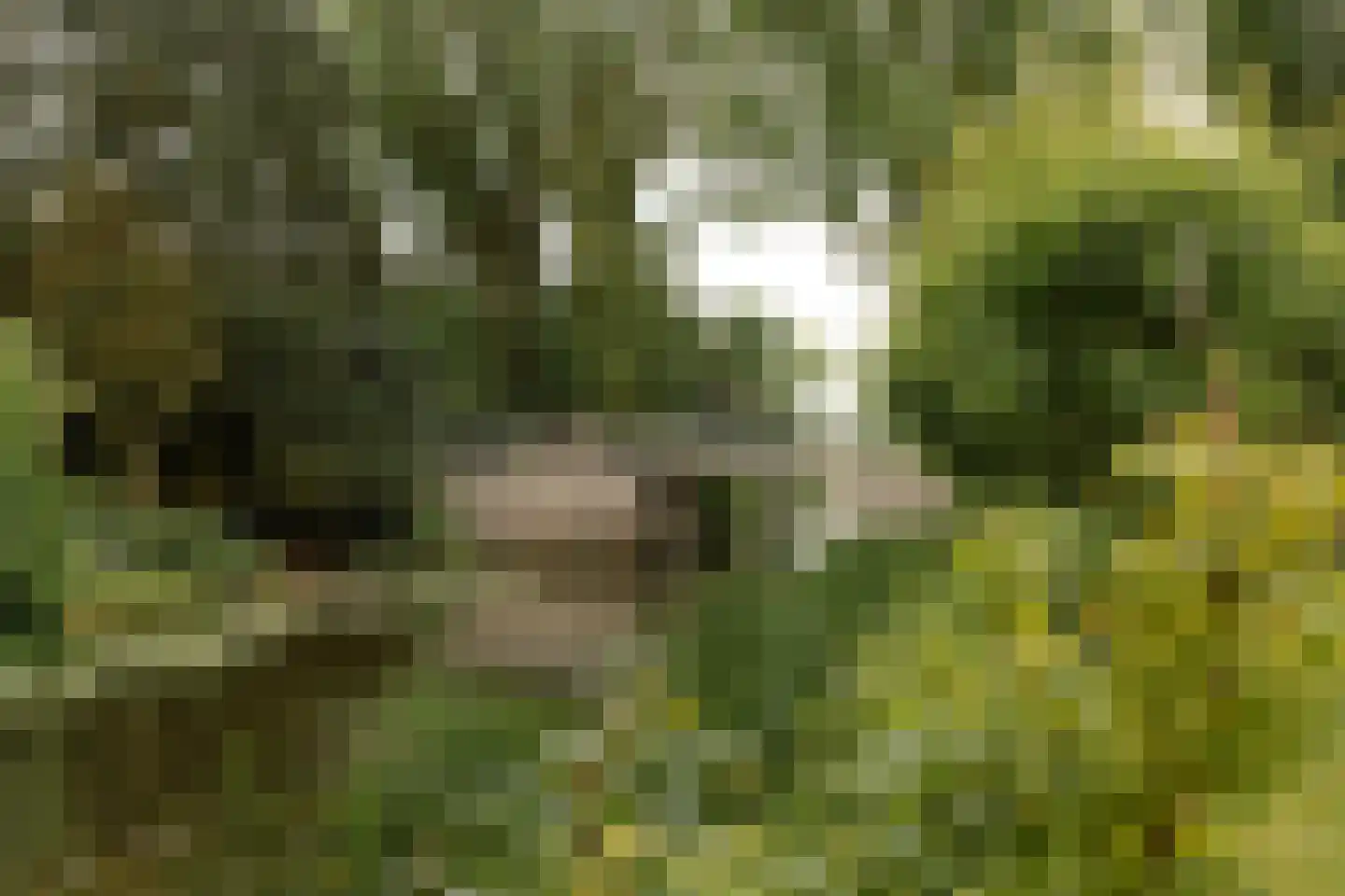 Buren 29 Gaast thumbnail 40