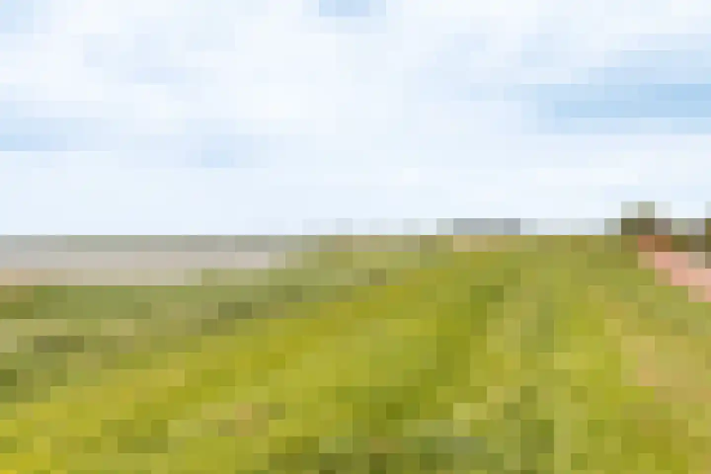 Buren 29 Gaast thumbnail 42