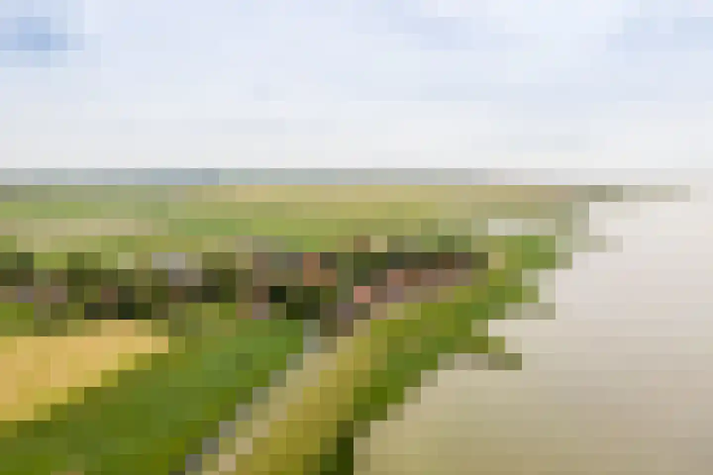 Buren 29 Gaast thumbnail 43