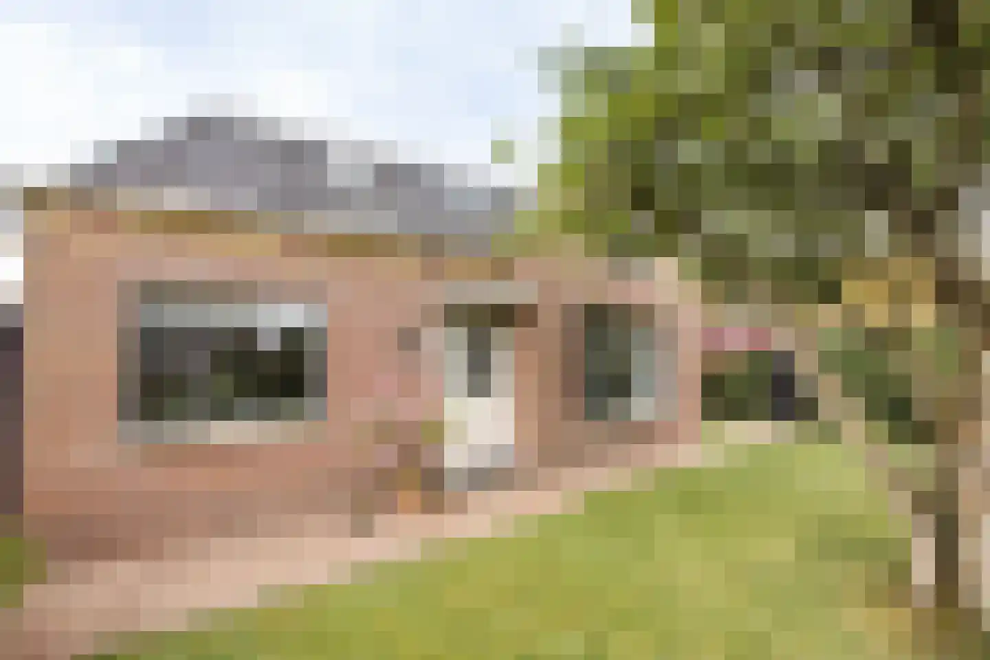 Buren 29 Gaast thumbnail 6