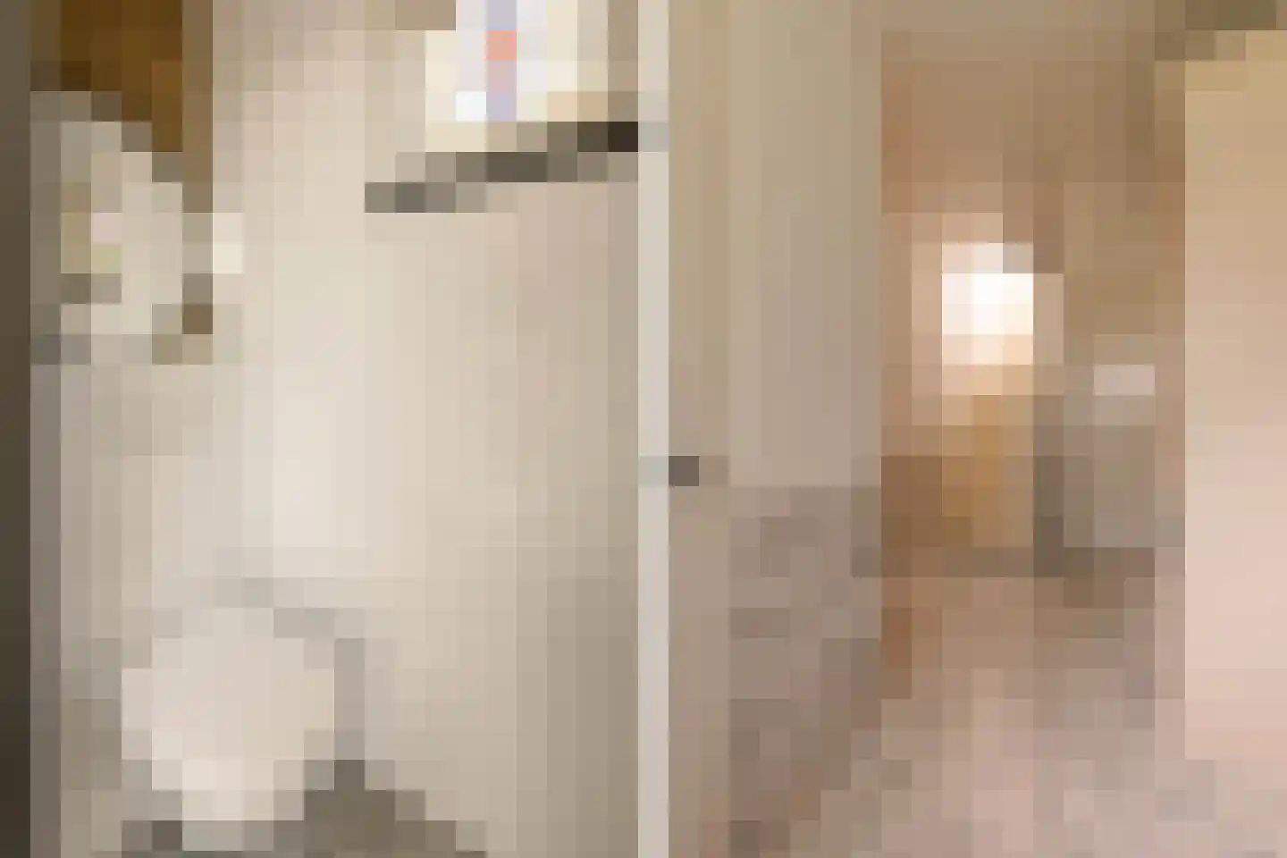 Buren 29 Gaast thumbnail 7