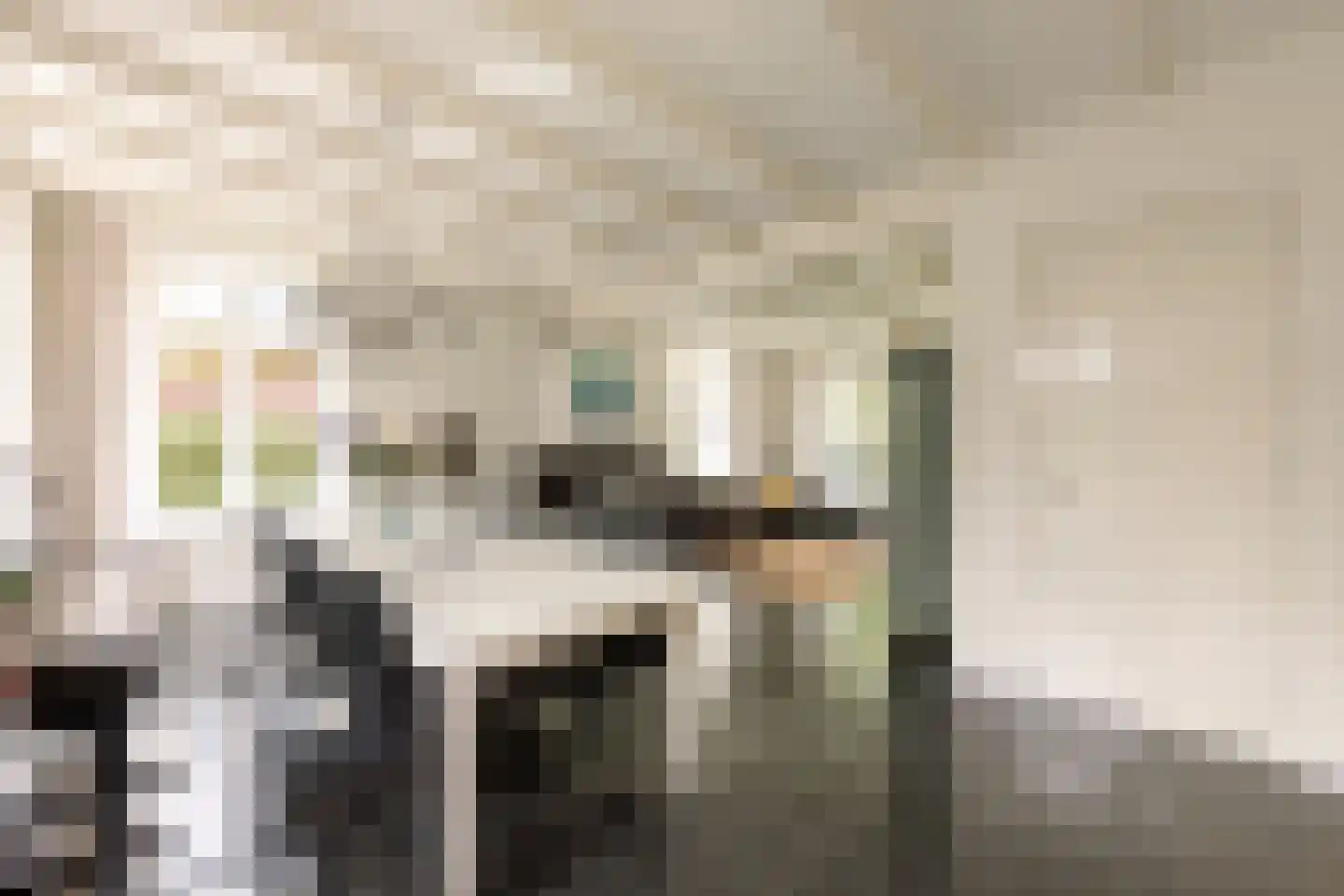 Buren 29 Gaast thumbnail 8
