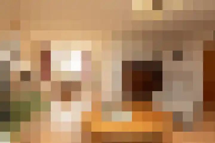 Buren 32 Longerhouw thumbnail 10