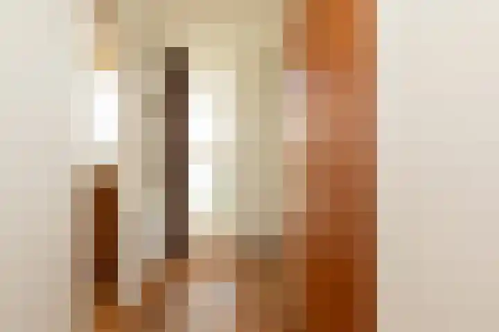Buren 32 Longerhouw thumbnail 15