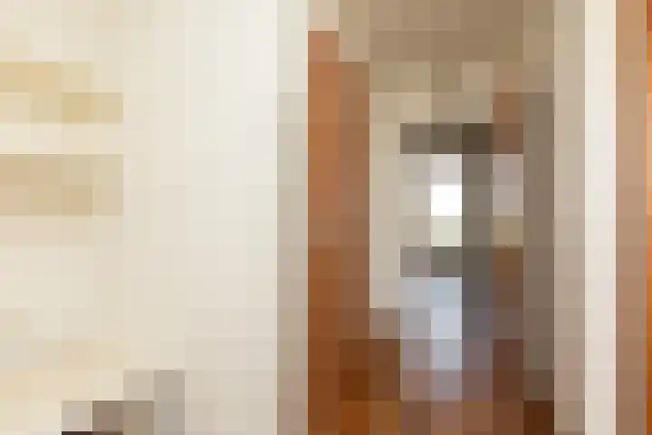 Buren 32 Longerhouw thumbnail 16