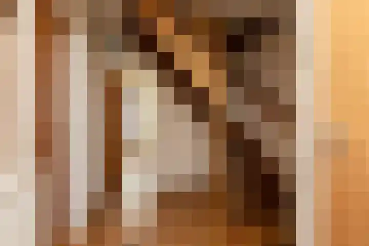 Buren 32 Longerhouw thumbnail 18