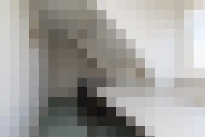 Buren 32 Longerhouw thumbnail 23