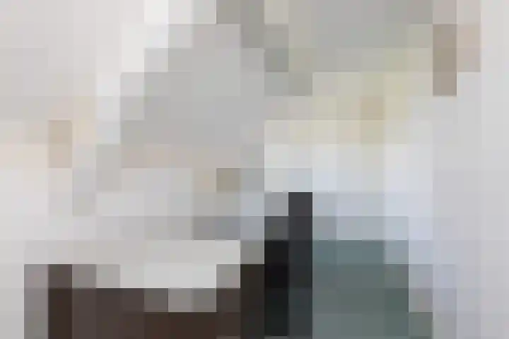 Buren 32 Longerhouw thumbnail 24
