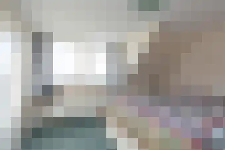 Buren 32 Longerhouw thumbnail 27