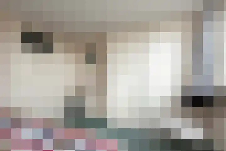 Buren 32 Longerhouw thumbnail 29