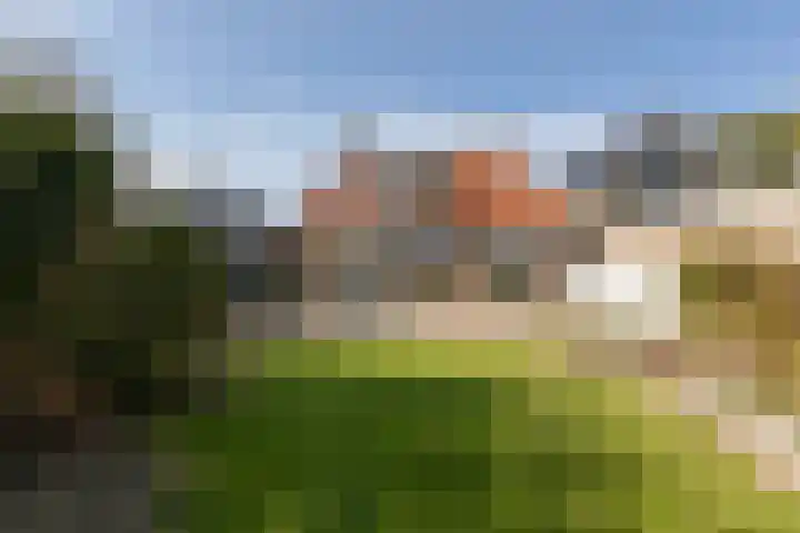 Buren 32 Longerhouw foto 3
