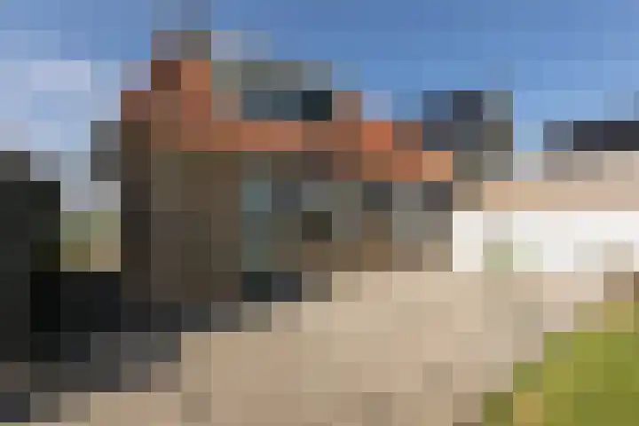 Buren 32 Longerhouw thumbnail 30