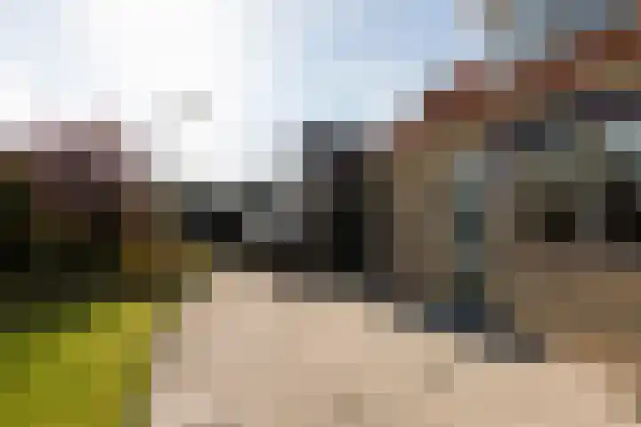 Buren 32 Longerhouw thumbnail 31