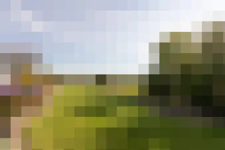 Buren 32 Longerhouw thumbnail 32