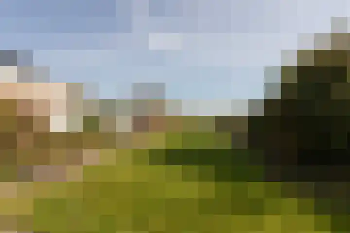 Buren 32 Longerhouw thumbnail 33