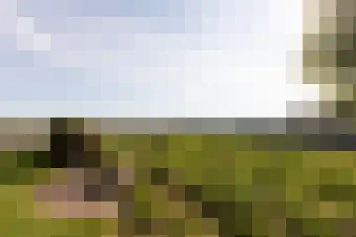 Buren 32 Longerhouw thumbnail 34