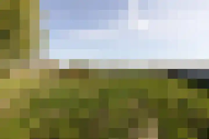 Buren 32 Longerhouw thumbnail 35